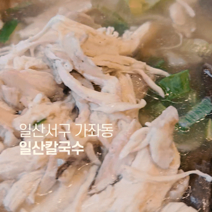  일산서구 가좌동 칼국수 맛집 추천 일산칼국수에서 능이닭칼국수