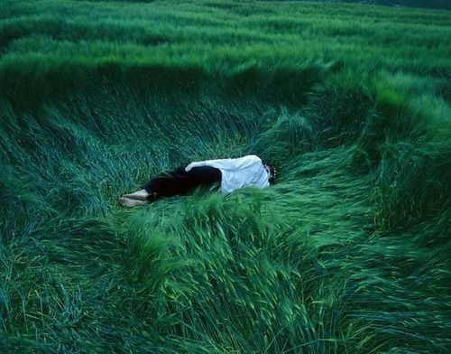  턱