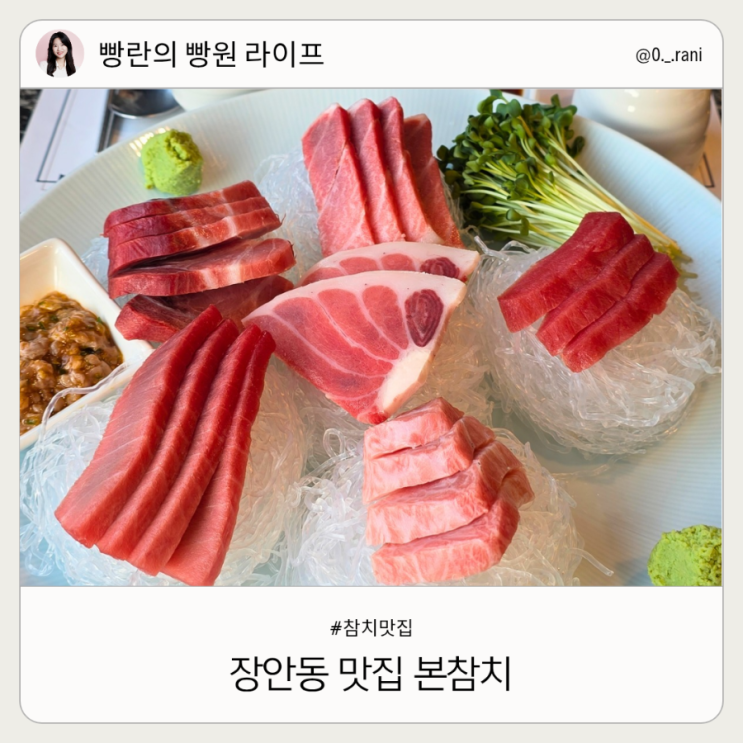  동대문구 장안동맛집 본참치 참치 코스