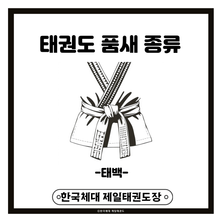 태권도 품새 종류 알아보기(태백 편)