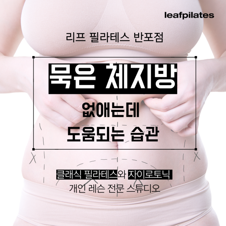  [신반포 필라테스] 체지방 없애는데 도움되는 중요한 생활 습관!/ 반포필라테스 리프