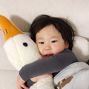 대형 거위 바디필로우 인트홈 거위인형 어린이 바디필로우로 딱!