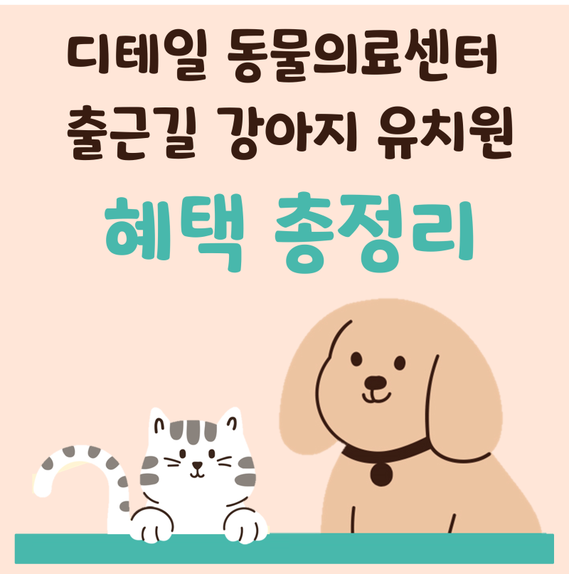 사진 3