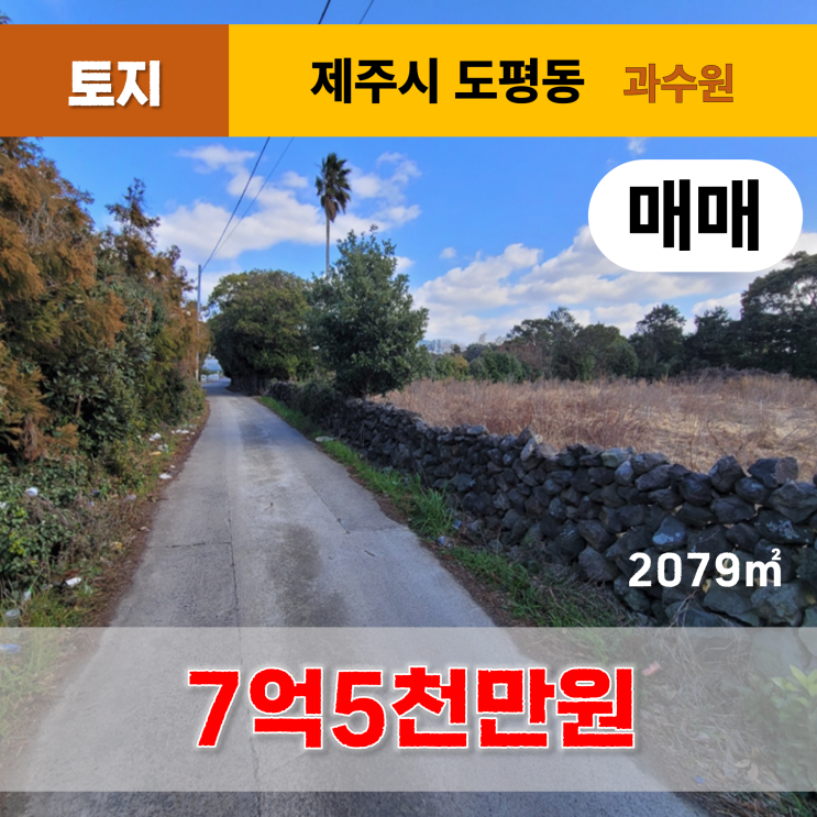 《제주도토지매매》 제주시 도평동 토지(과수원) 매매