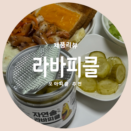  상쾌함과 아삭함을 더해줄 "자연솔 라바피클" 추천리뷰