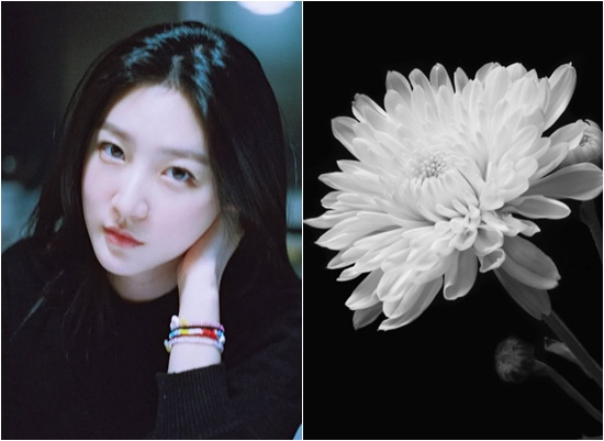 배우 김새론 "범죄 혐의점 확인 안 돼" 자택서 숨진 채 발견됐다 배우 김새론 "범죄 혐의점 확인 안 돼" 자택서 숨진 채 발견됐다
