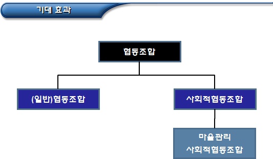 마을관리 사회적협동조합 정관의 개념 마을관리 사회적협동조합 정관의 개념