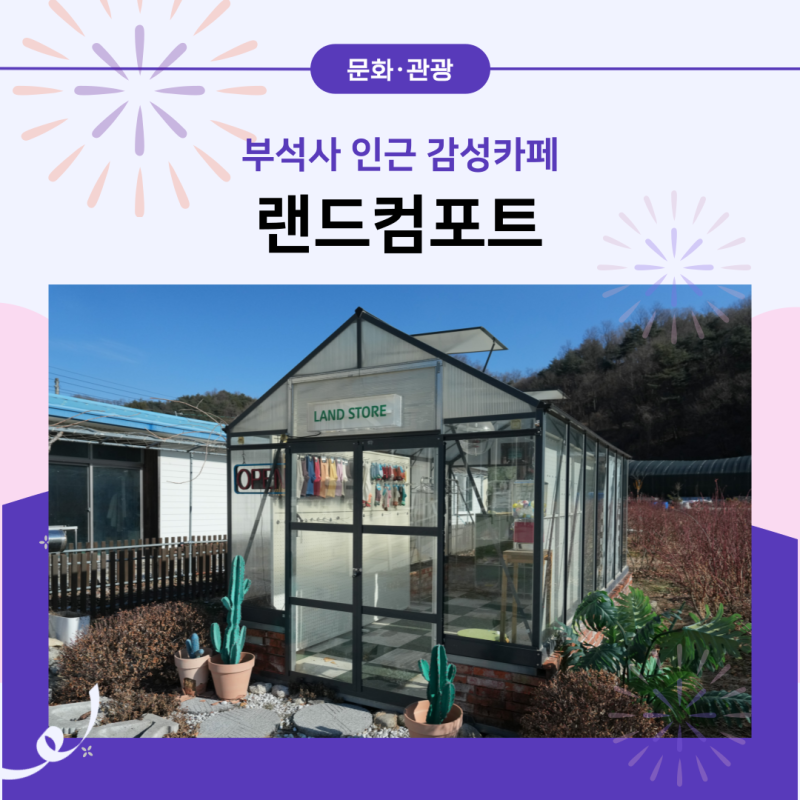 사진 3
