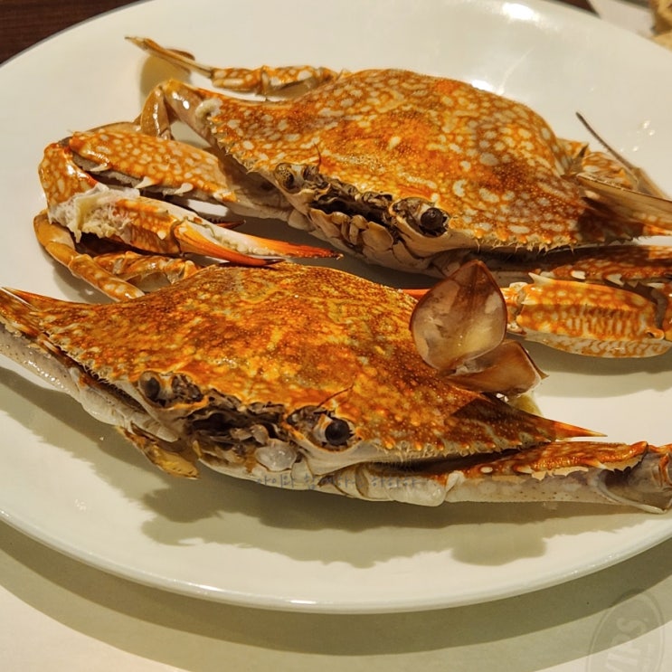  빕스 합정역점 아이랑 딸기뷔페 와인 맥주 다양한 메뉴 즐기기