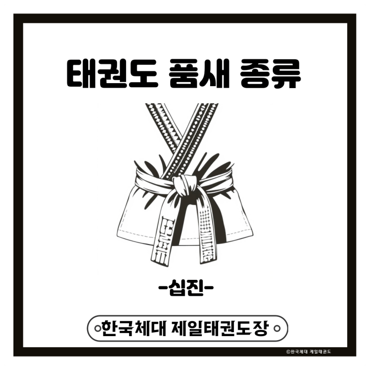  태권도 품새 종류 알아보기(십진 편)