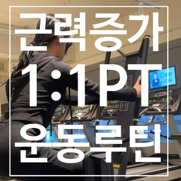  [탄현역헬스장] PT 근력증가 운동루틴