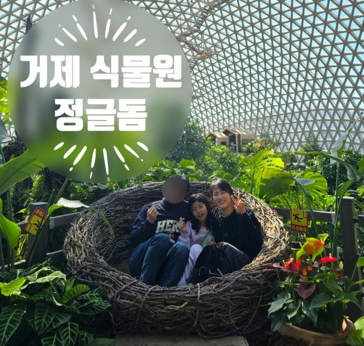  거제 가볼만한 곳 추천 일반식물원과는 차원이 다른 거제식물원 거제정글돔