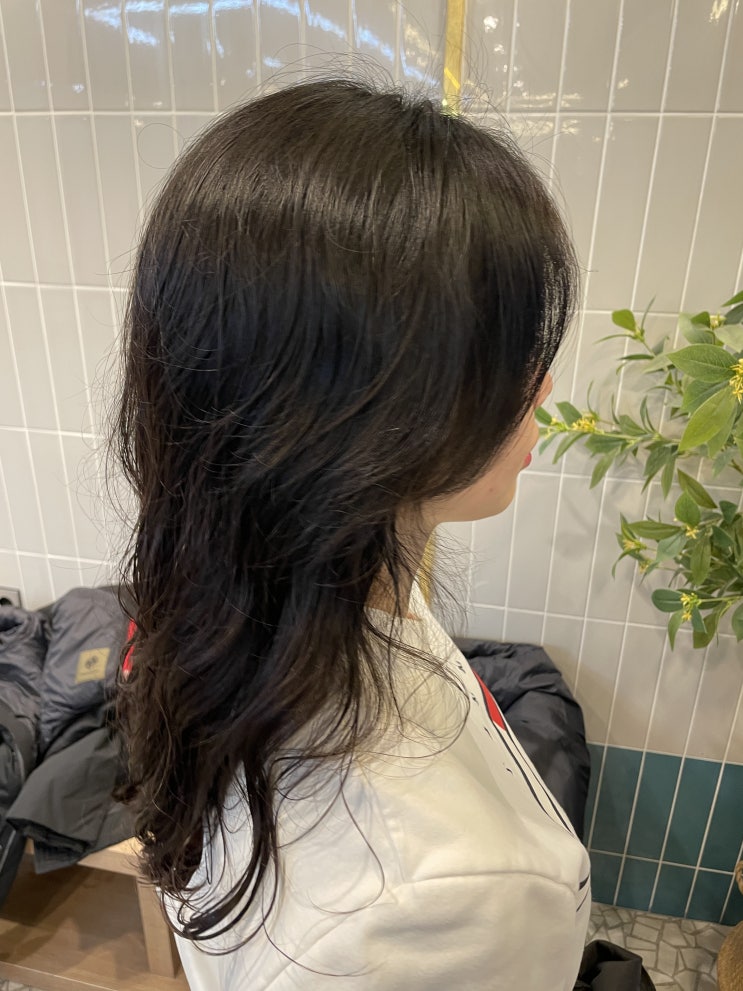  구래동미용실 하이블헤어에서 클리닉 솔직후기