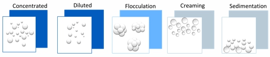  분산안정성 Turbiscan Dispersion State1