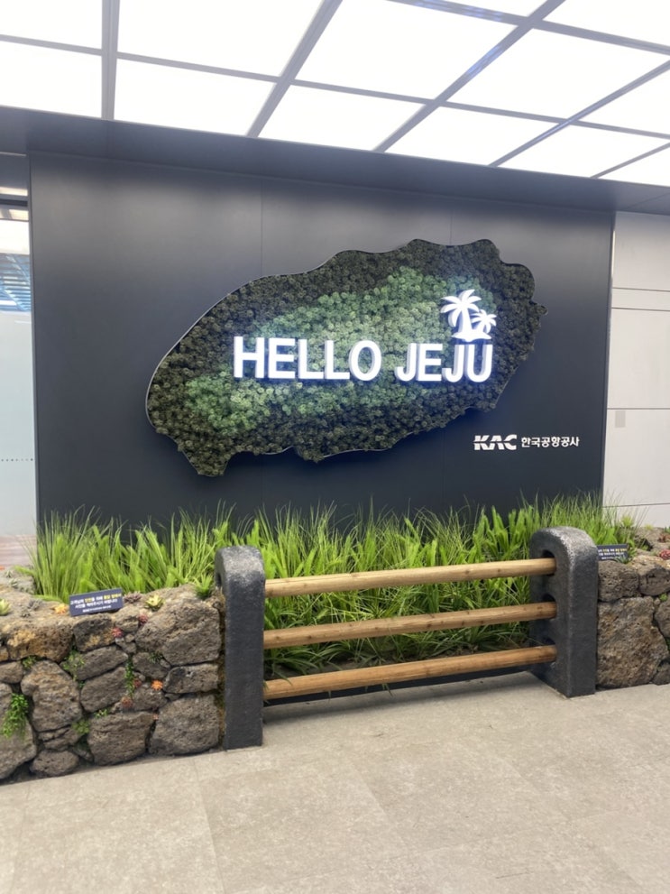  제주도 부앙부앙 폭식하러가볼까
