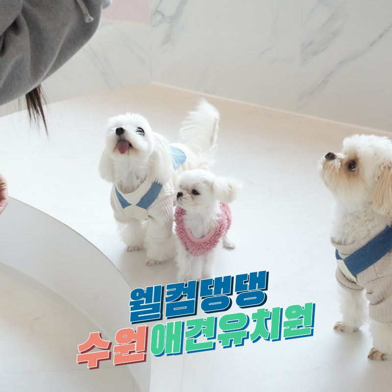 사진 4