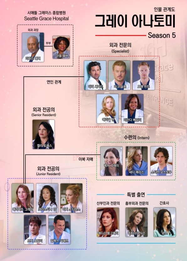 그레이 아나토미 시즌5 리뷰..