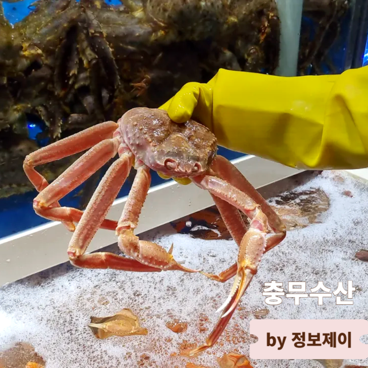  가성비 좋고 푸짐한 구리 농수산물도매시장 맛집 구리 충무수산