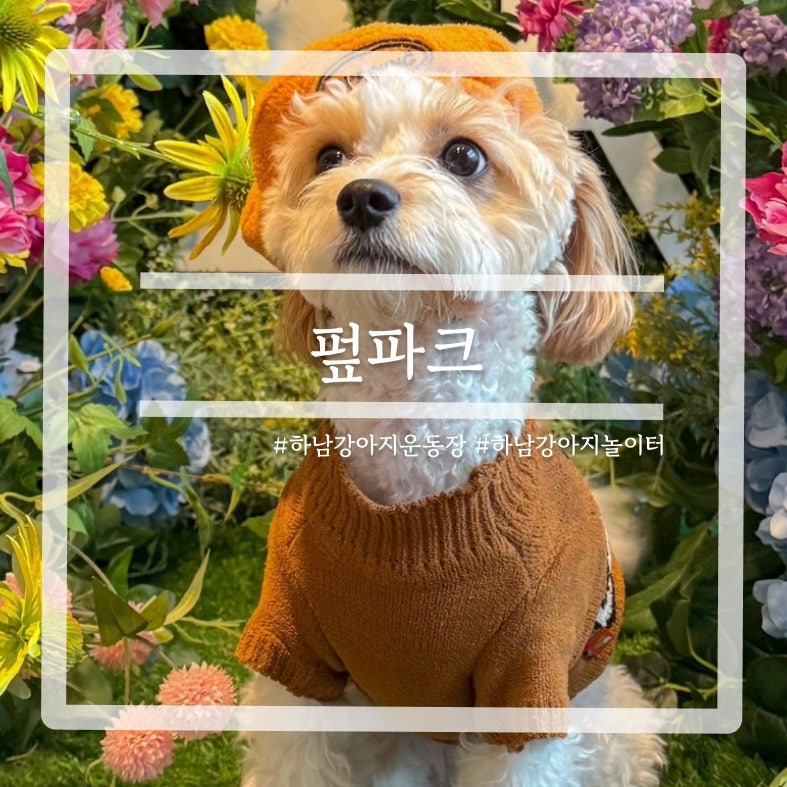 사진 2