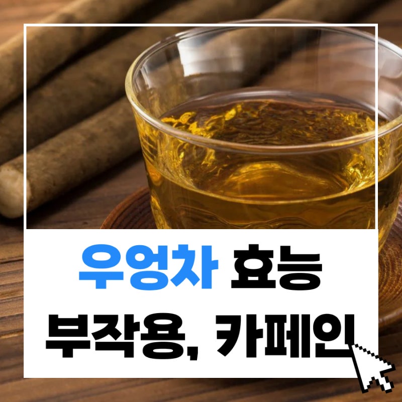 우엉차 당뇨 효능 및 부작용, 물대신 가능? 카페인 정보까지