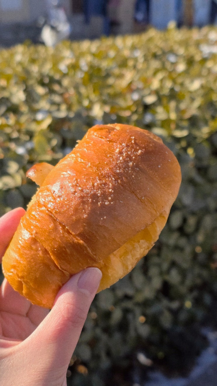  연남동 소금빵 맛집 자연도소금빵 먹어본 후기 ft.길빵해야 제맛