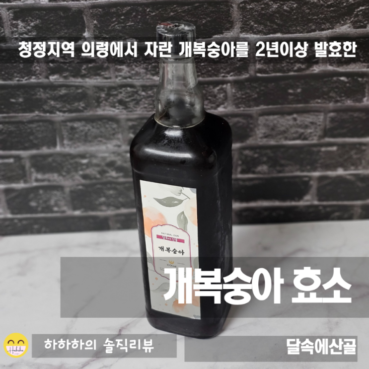  달속에산골 개복숭아액기스, 2년 숙성해 효소로 만든 건강차 먹는법