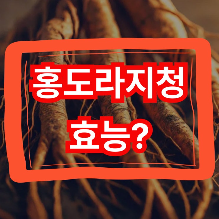  홍도라지청 효능 제대로 알고 선택하는 법!