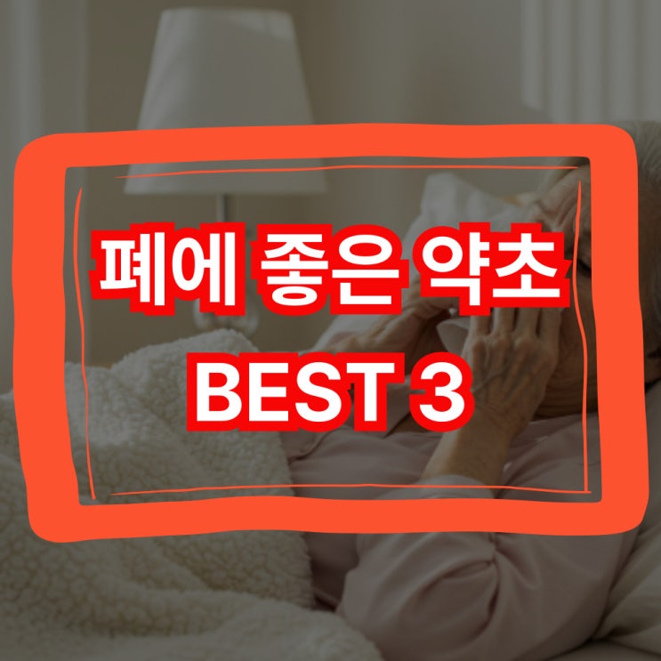  폐에 좋은 약초 BEST 3 소개해드립니다!