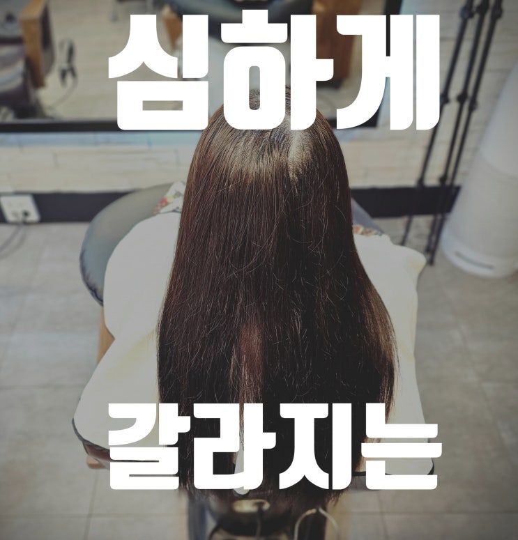  30대 여자 심하게 갈라지는 가르마 교정 링거펌 추천