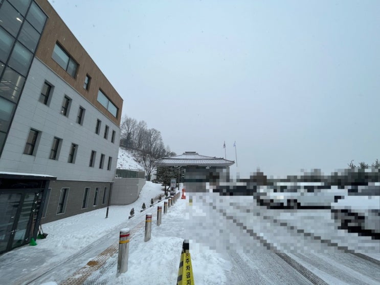  도심 속 힐링이 되는 여주 세종도서관 이용안내