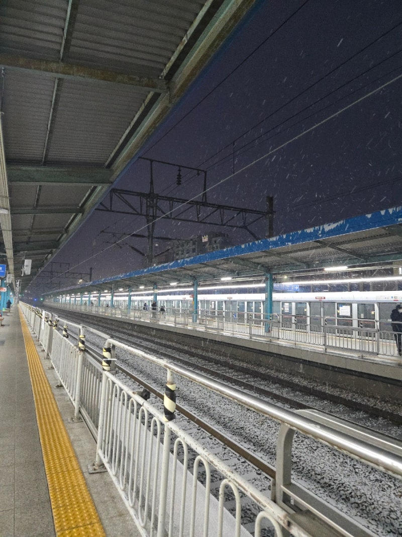 조이 일상 / 2월의 기록들 : 네이버 블로그