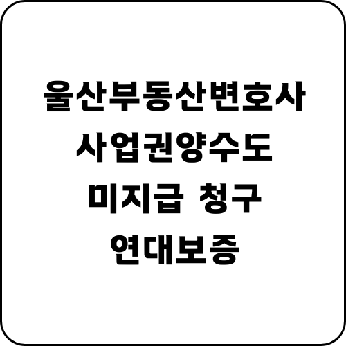  사업양수도 대금 미지급 청구 사건 - 법인격부인