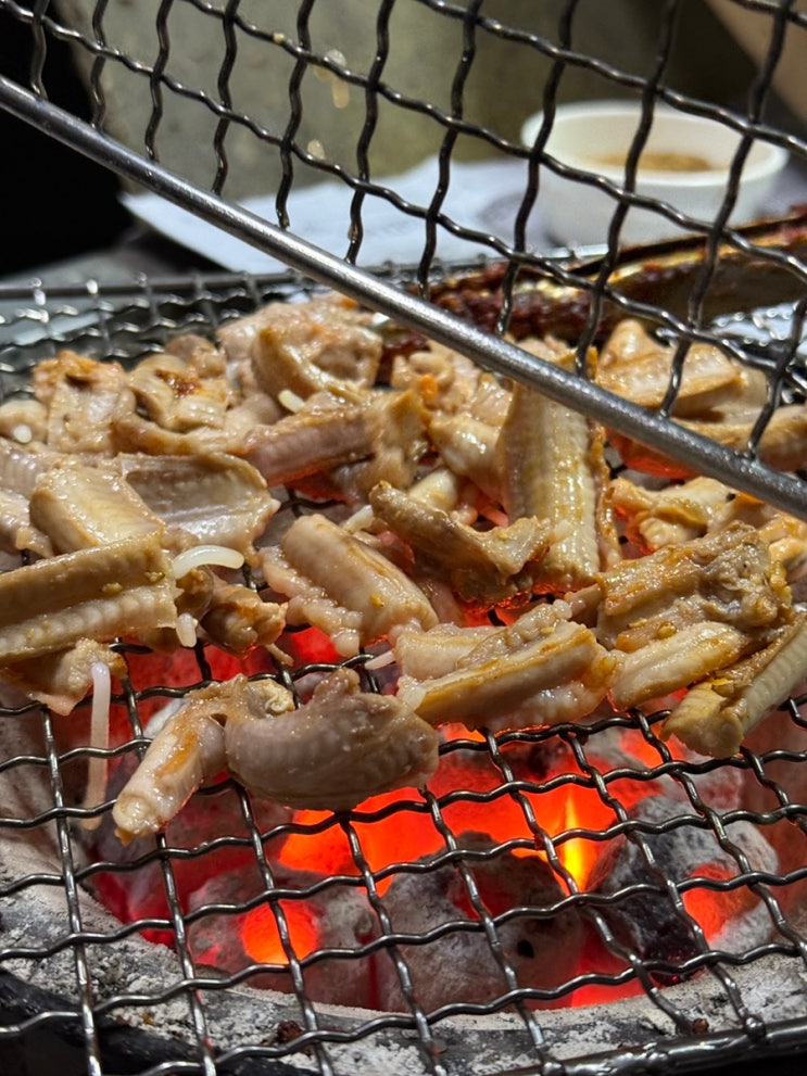  대구 달서구 두류동 맛집 원조산호아나고곰장어 술집