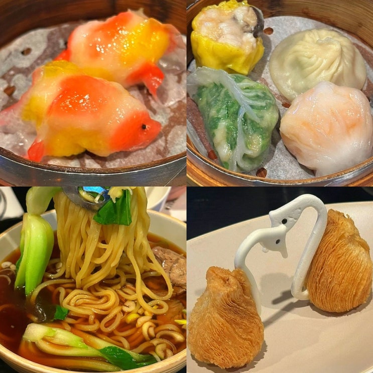  압구정로데오역 도산공원 술집 맛집, 회식 데이트 강추! 블루리본 받은 딤섬 찐맛집 골드피쉬 딤섬퀴진