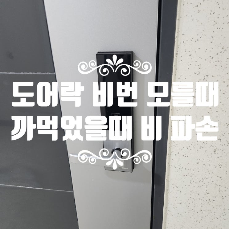  KOCOM 도어락 비밀번호 모를때 까먹었을때 파손 없는 개문 일산 주엽동열쇠