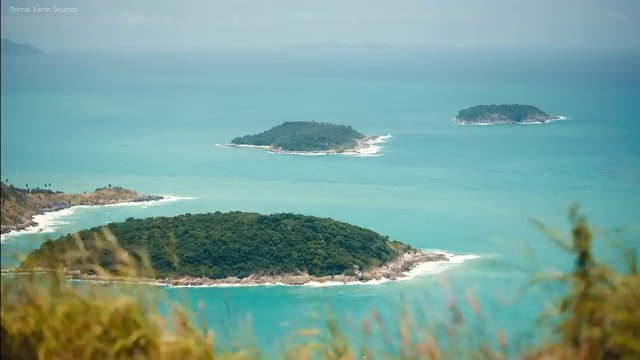  심리상담사1급자격증 , 심리상담사 자격증 합격한 비법