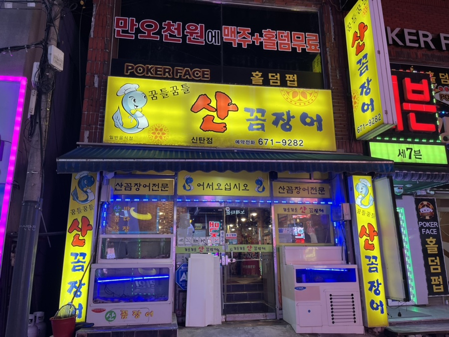 꿈틀꿈틀산꼼장어 사진 1