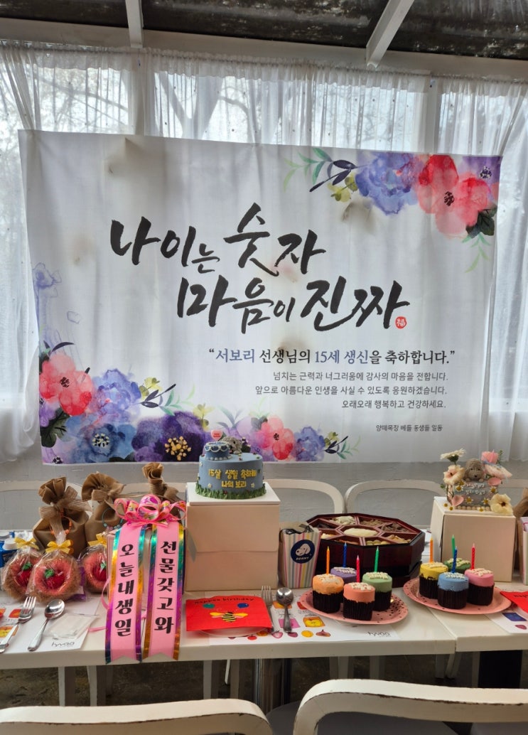  [양주네이처독 헤세의정원] 강아지 15살 생일파티 후기(현수막, 화환리본, 강아지케익정보,위치)