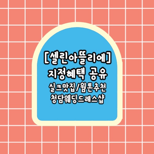  [웨딩정보공유] 실크맛집/웜톤추천! "셀린아뜰리에" 드레스샵 지정혜택 공유