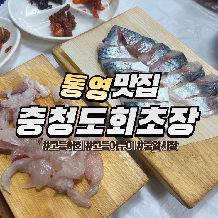  통영 충청도회초장 :: 통영 중앙시장 맛집 내돈내산 욕지 고등어회