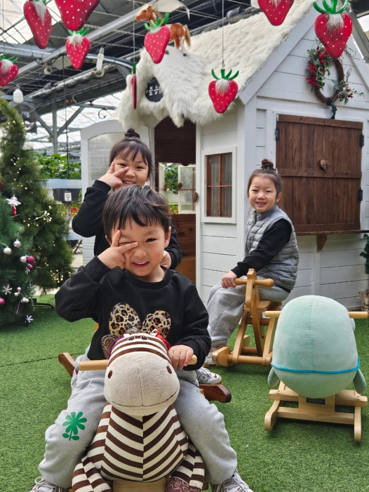  경기도 광주 딸기체험 무제한 자연 놀이터와 함께 이용해요