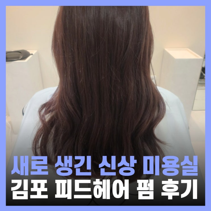 구래동 미용실 펌 후기 염색 커트 가격 김포 피드헤어