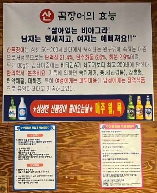 꿈틀꿈틀산꼼장어 사진 5