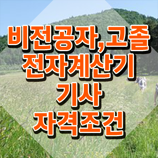  전자계산기기사 취득자격 독학으로 빠르게 완료한 방법