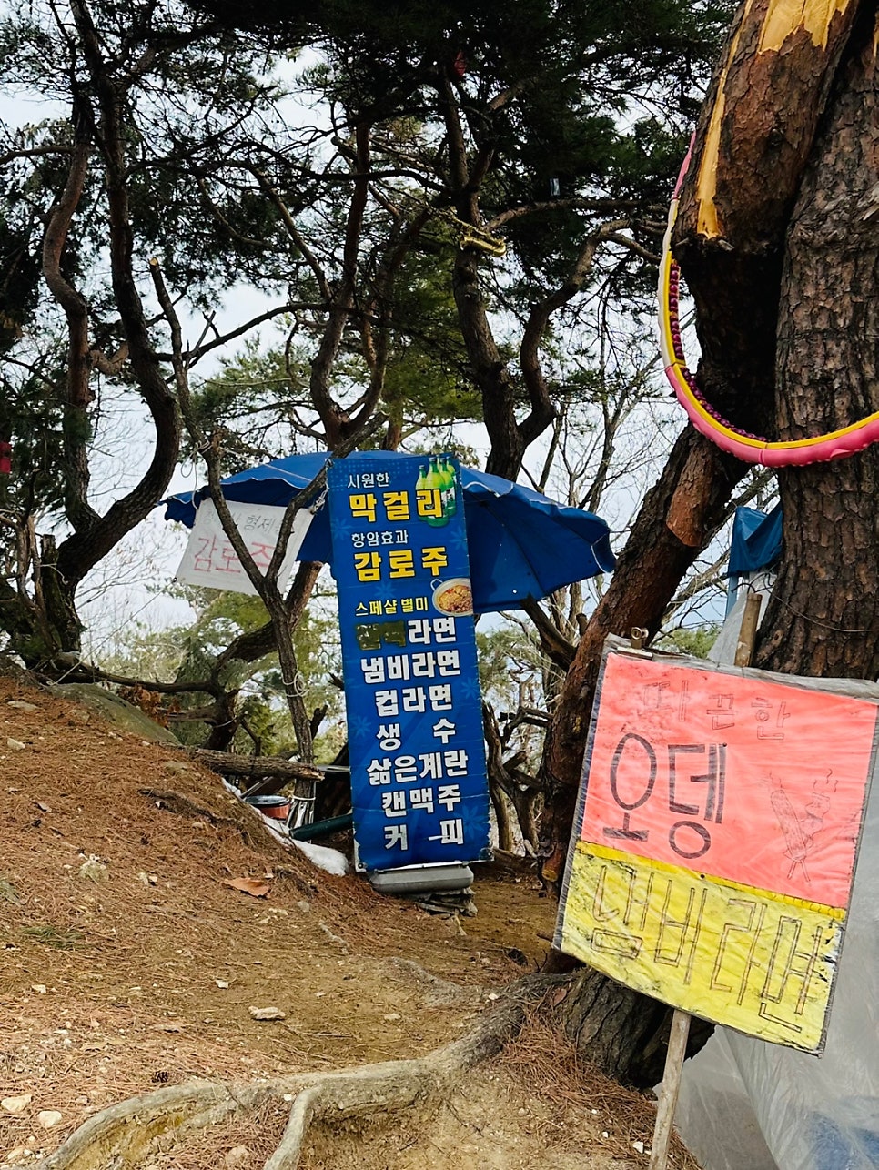 국수리순두부 사진 4