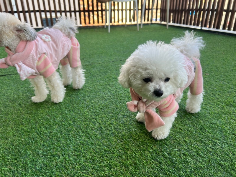 사진 3