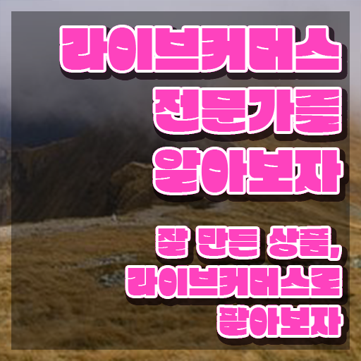  라이브커머스전문가 연봉 , 자격증 15일 만에 합격한 전략 및 취업 전망