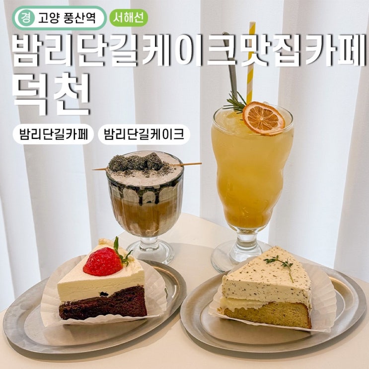 일산 밤리단길 조용한 카페 덕천 케이크 맛있는 곳