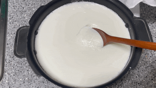 락토핏 마시는 요거트로 신맛 없는 밥솥 그릭요거트 만들기