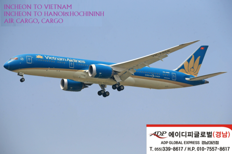  항공운송료 특가 인천에서 베트남 항공 (Air Cargo,Cargo)